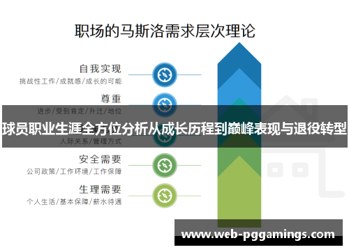 球员职业生涯全方位分析从成长历程到巅峰表现与退役转型
