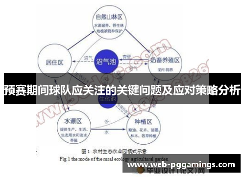 预赛期间球队应关注的关键问题及应对策略分析