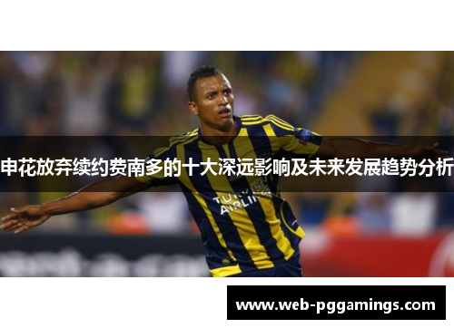 申花放弃续约费南多的十大深远影响及未来发展趋势分析